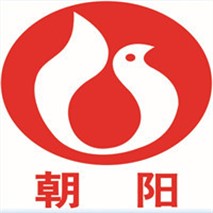 增設潛水泵提升排澇能力 增設潛水泵提升排澇能力
